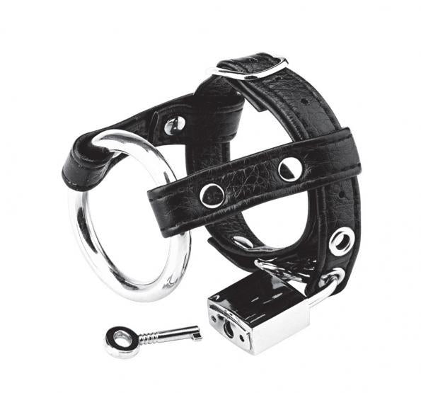 C & B Gear Duo Cock And Ball Lock Black