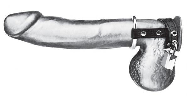 C & B Gear Duo Cock And Ball Lock Black