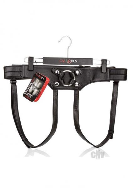 Her Royal Harness The Empress