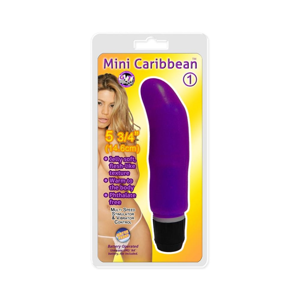Mini Caribbean #1 Waterproof Vibrator