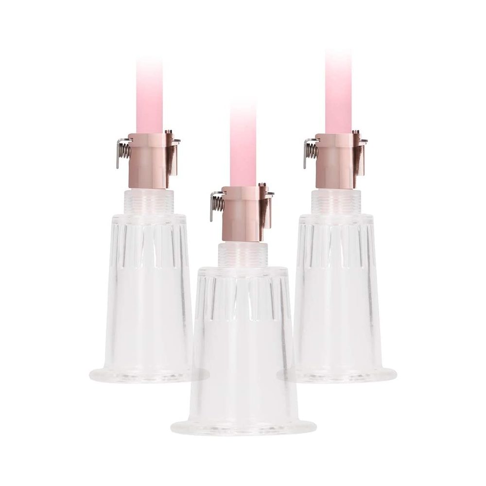 Pumped - Clitoral & Nipple Pump Set Large - Rose