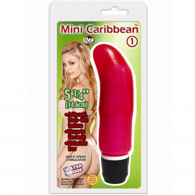 Mini Caribbean #1 Waterproof Vibe